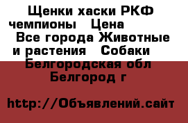 Щенки хаски РКФ чемпионы › Цена ­ 90 000 - Все города Животные и растения » Собаки   . Белгородская обл.,Белгород г.